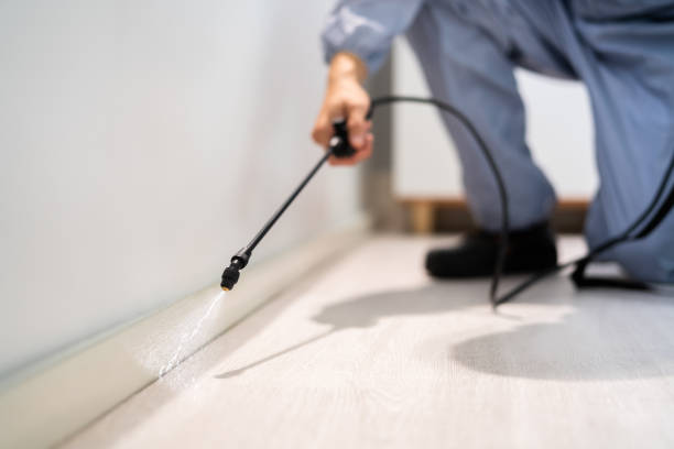 Licensed Termite Control service in Haynesville, LA - Nex Pest Control