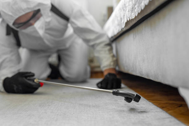 Professional Termite Control technician working in Haynesville, LA