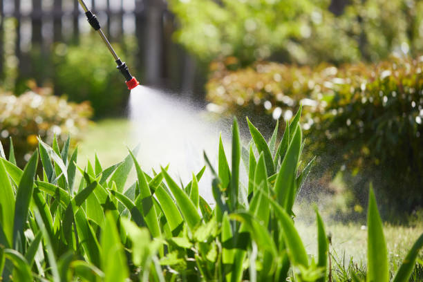 24/7 Emergency Termite Control experts in Haynesville, LA