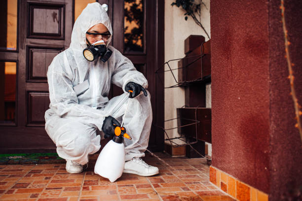 Reliable Termite Control contractor in Haynesville, LA by Nex Pest Control