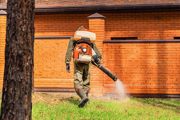 Trusted Termite Control service in Haynesville, LA - Nex Pest Control